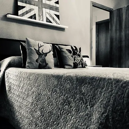 Loft Cool Хаэн